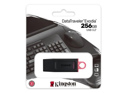 Накопичувач Kingston  256GB USB 3.2 Type-A Gen1 DT Exodia