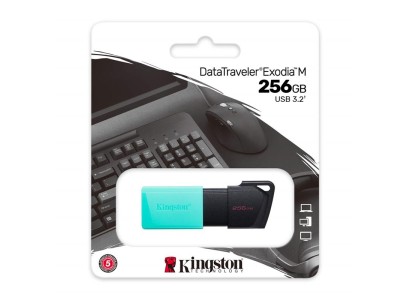 Накопичувач Kingston  256GB USB 3.2 Type-A Gen1 DT Exodia M