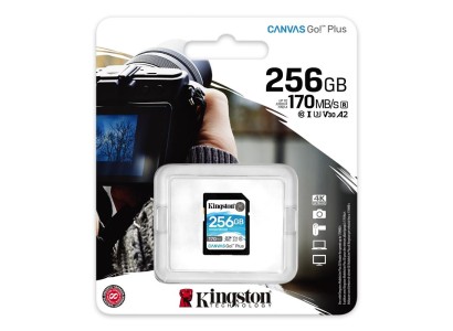 Карта пам'яті Kingston SD 256GB  C10 UHS-I U3 R170/W90MB/s