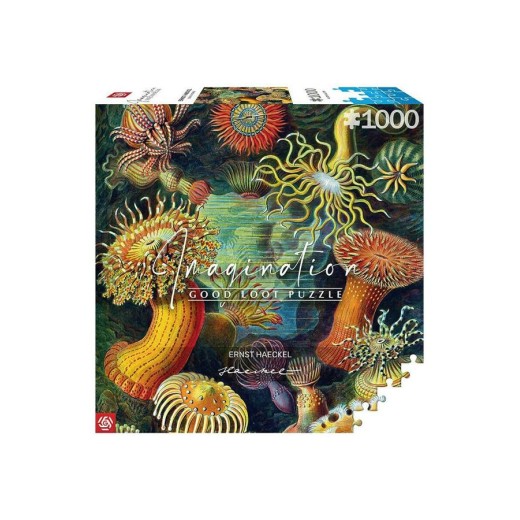 Пазл Imagination: Ernst Haeckel: Sea Anemones/Stworzenia morskie Puzzles 1000 ел.