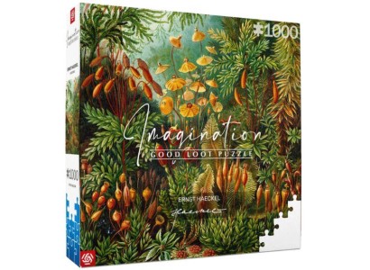 Пазл Imagination: Ernst Haeckel Muscinae Puzzles 1000 ел.