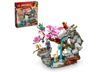 Конструктор LEGO Ninjago Храм каменю дракона