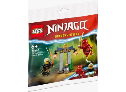 Конструктор LEGO recruitment Ninjago Битва за Храм Кая і Раптона