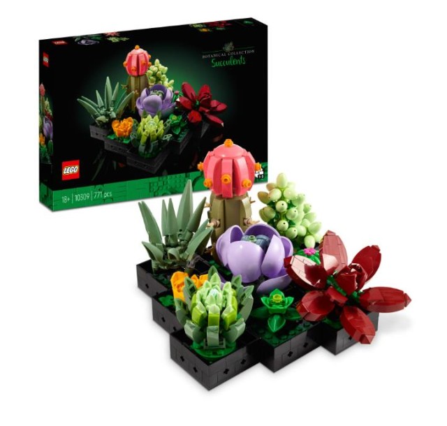 Конструктор LEGO Botanicals Сукуленти